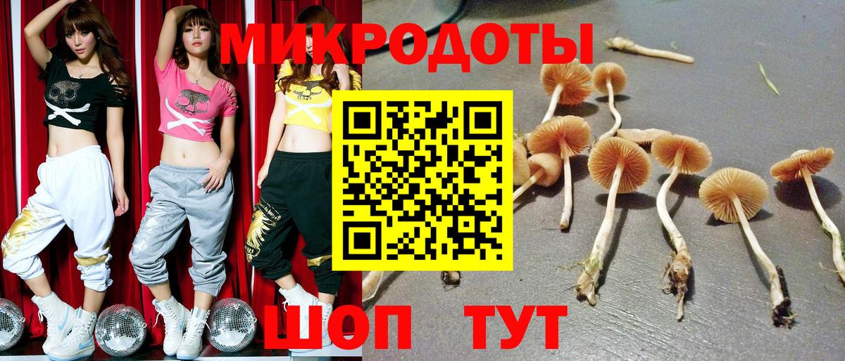Псилоцибиновые грибы MAGIC MUSHROOMS Конаково