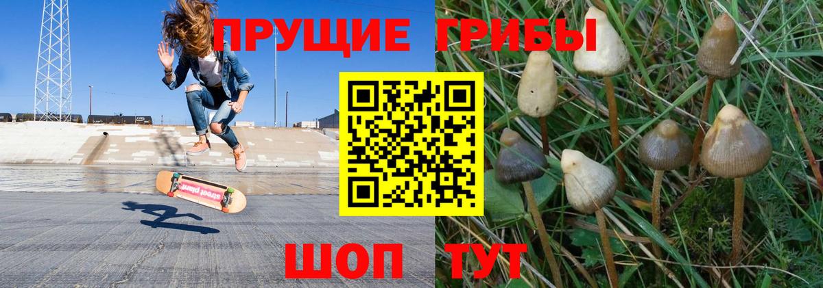 даркнет сайт  Псилоцибиновые грибы ЛСД  Вход с VPN  Конаково 